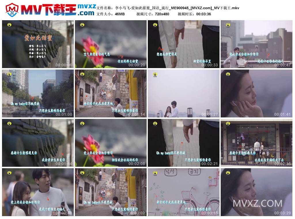 李小马飞-爱如此甜蜜_国语_流行_ME900945